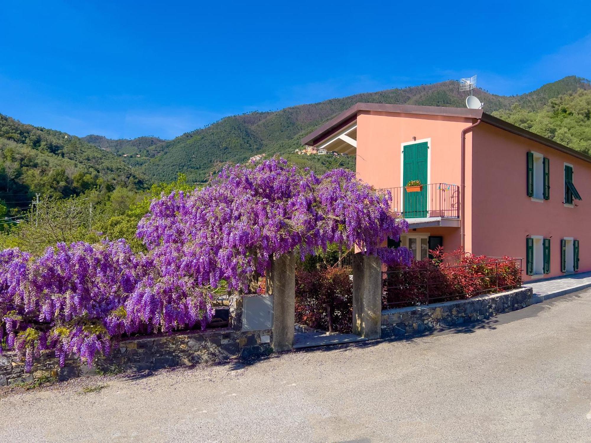 La Casa Dei Glicini Leilighet Levanto Eksteriør bilde